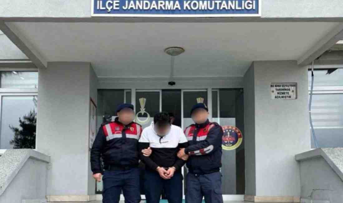 Ordu’nun Ünye ilçesinde jandarma ekiplerinin düzenlediği operasyonda, DEAŞ silahlı terör