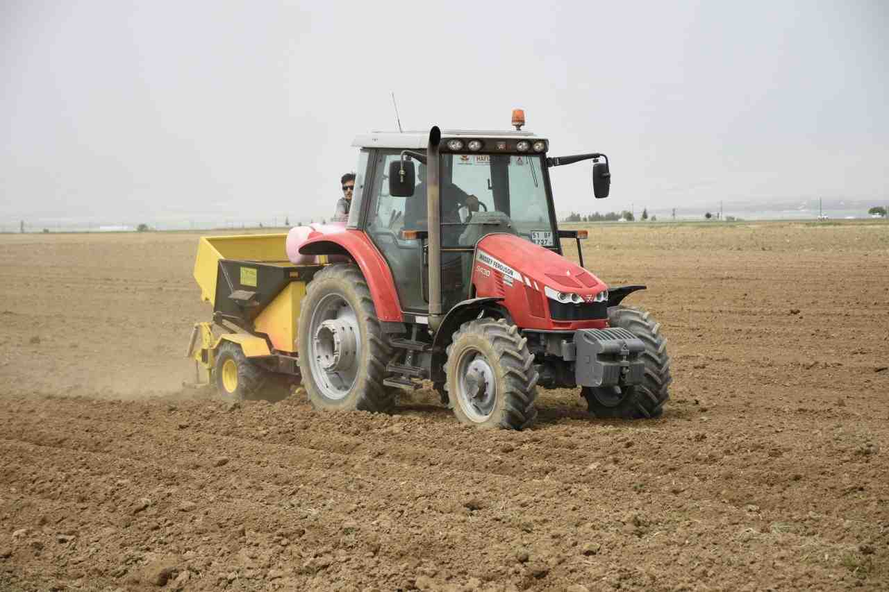 Türkiye’de en erken patates hasadının yapıldığı ve “turfanda patates deposu”