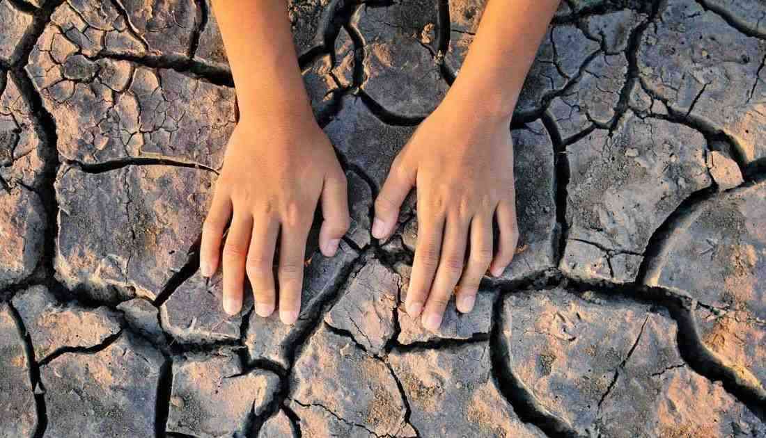 Küresel Isınma 1,5°C’yi Aşarsa Ne Olacak?Birleşik Krallık merkezli yapılan yeni