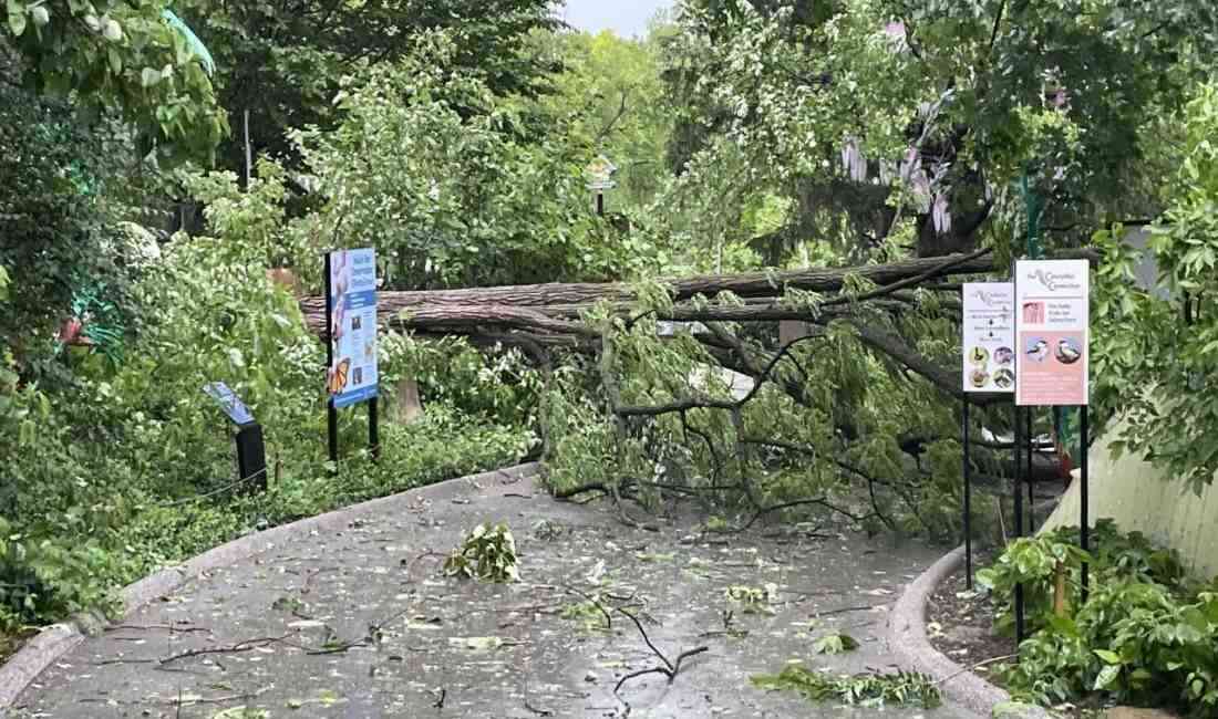 St. Louis’de Kasırga Felaketi: Sokağa Çıkma Yasağı UygulandıABD’nin Missouri eyaletine