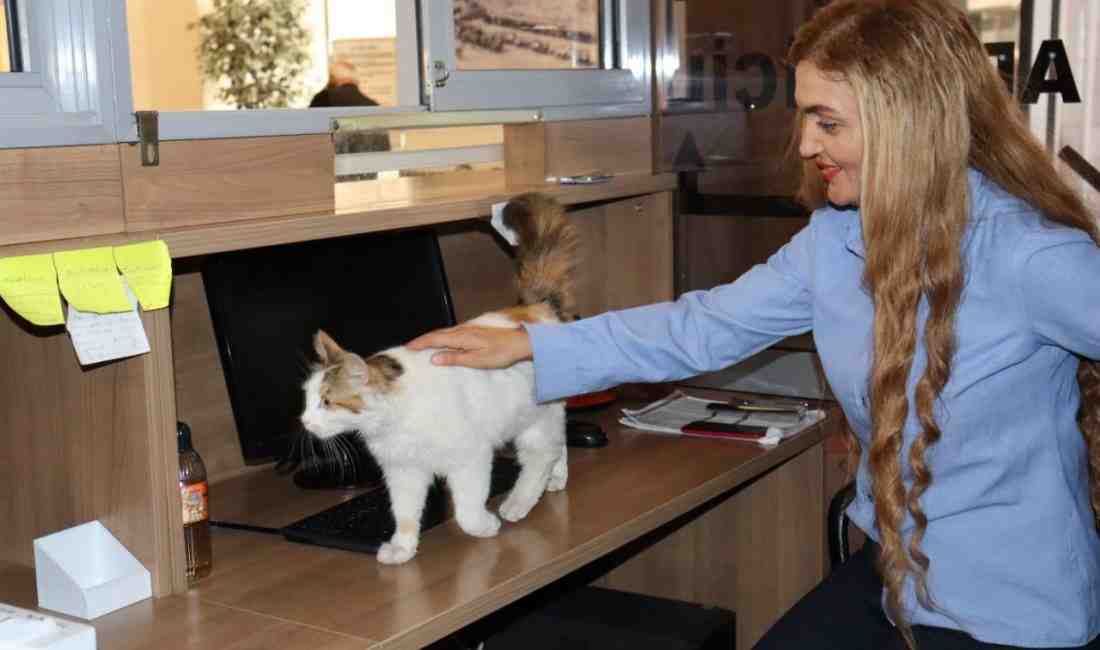 Amasya Adalet Sarayı’nın 9 yıldır değişmeyen simgelerinden biri olan ‘Adalet’