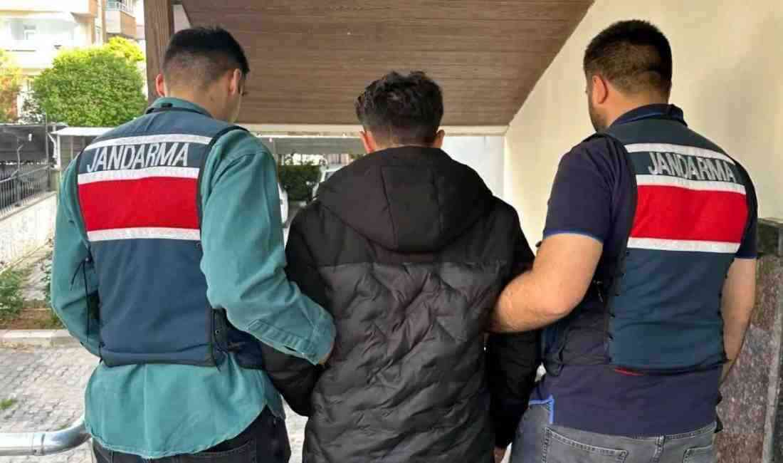 Antalya, Artvin, Adana ve Balıkesir merkezli dört farklı ilde faaliyet