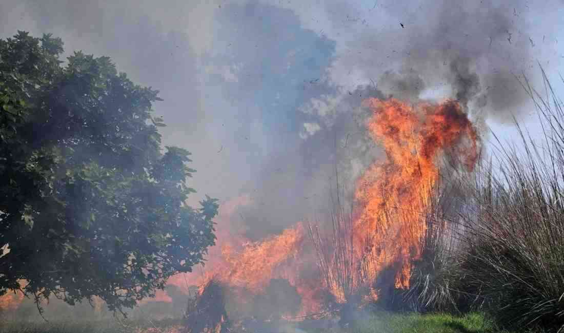 Çalılıklarda Çıkan Yangın 1,5 Saatte Kontrol Altına Alındı Antalya’nın Kepez