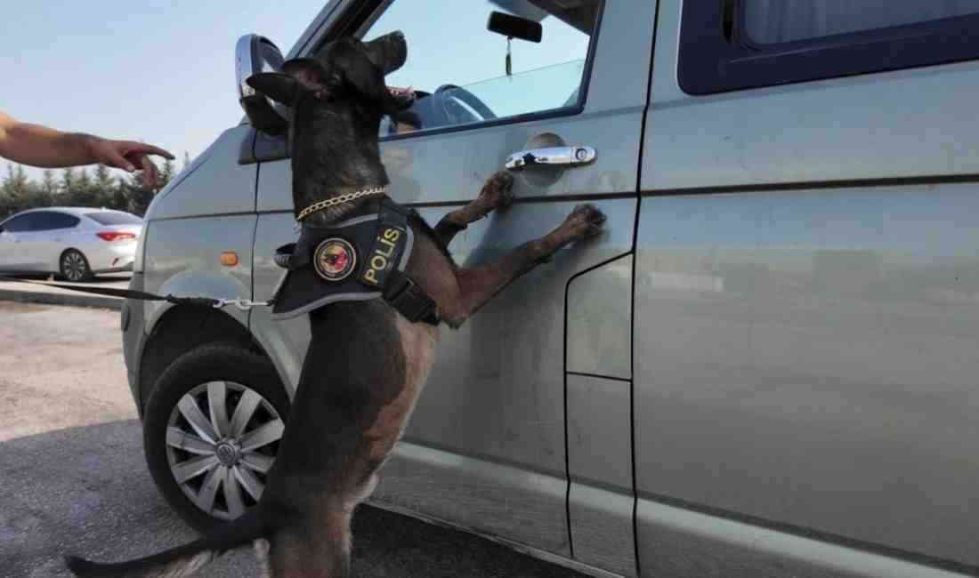 Mersin’de, Narkotik Suçlarla Mücadele Başkanlığı koordinasyonunda gerçekleştirilen dron destekli uyuşturucu