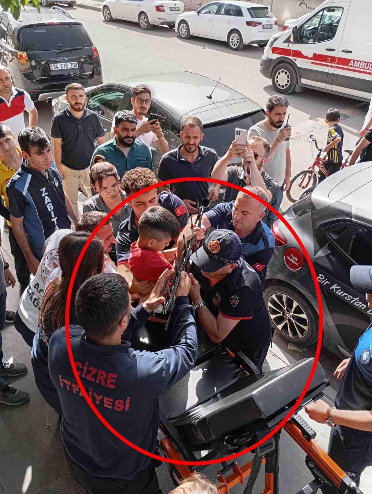Dut Toplamak İsterken Dengesini Kaybetti Şırnak’ın Cizre ilçesinde dut toplamak