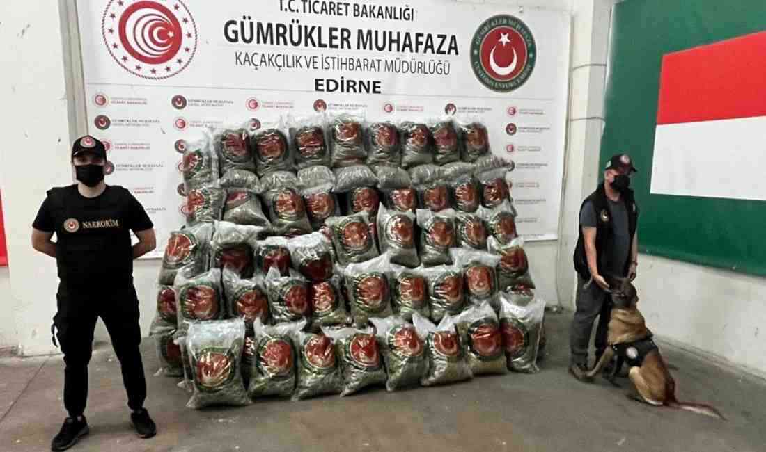 Ticaret Bakanlığı Gümrük Muhafaza Kaçakçılık ve İstihbarat Müdürlüğü ekipleri, son