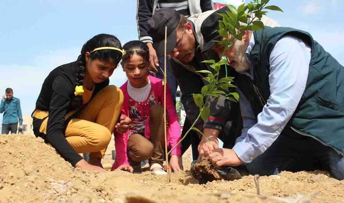 22 İlde 160 Bin Fidan Dikildi İHH İnsani Yardım Vakfı,
