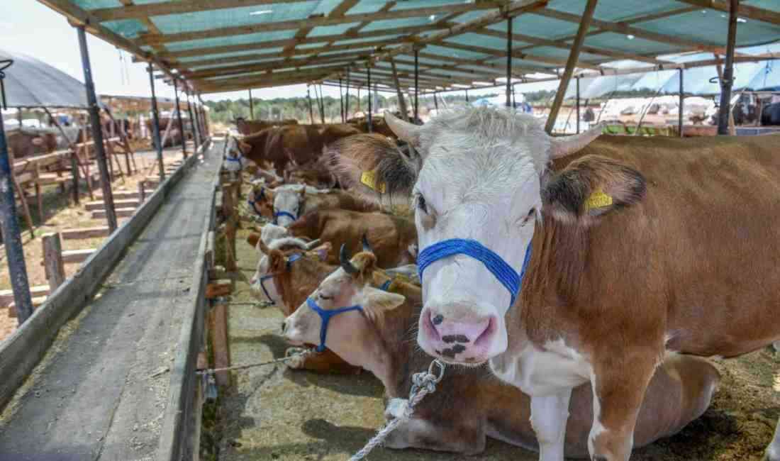 Tüketiciler Birliği Antalya Şube Başkanı Neşet Gündüz’den önemli uyarılar Tüketiciler