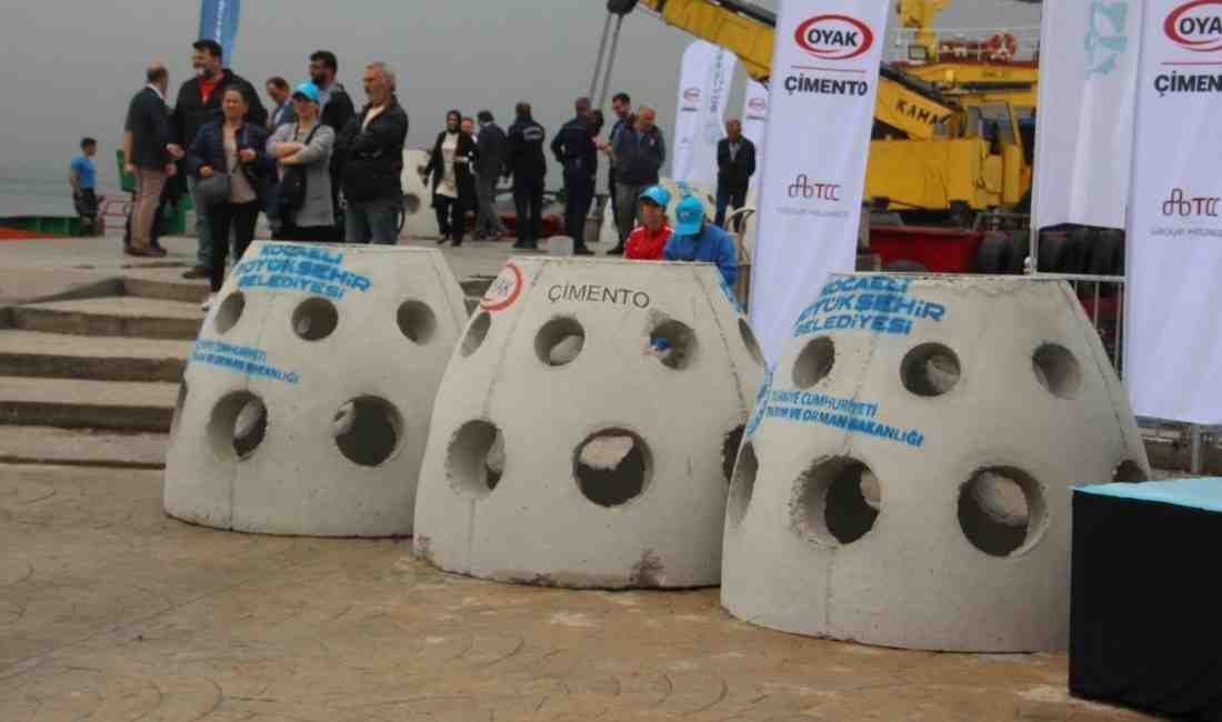 Kocaeli Büyükşehir Belediyesi, İzmit Körfezi Balıklandırma Projesi kapsamında doğaya ve