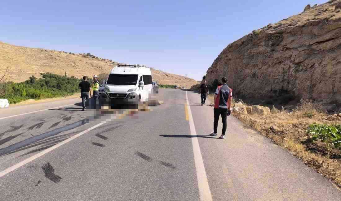 Mardin’in Nusaybin ilçesinde minibüsün yola çıkan küçükbaş sürüsüne çarpması sonucu