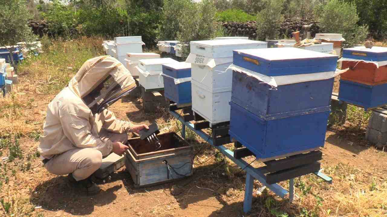 Veteriner Hekim Bünyamin Akın’ın öncülüğünde kullanılan yüksek teknolojili sistem, iklim