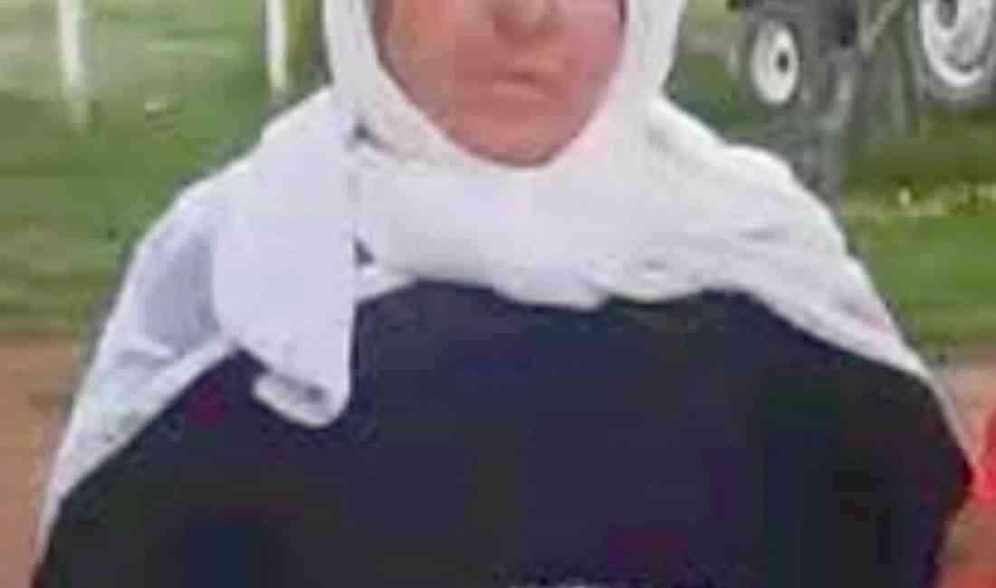 Şanlıurfa’nın Suruç ilçesinde meydana gelen trafik kazasında 65 yaşındaki Adile