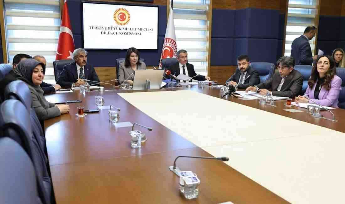 TBMM Dilekçe Komisyonu Başkanı Sunay Karamık, 28’inci Yasama Dönemi’nde vatandaşlardan