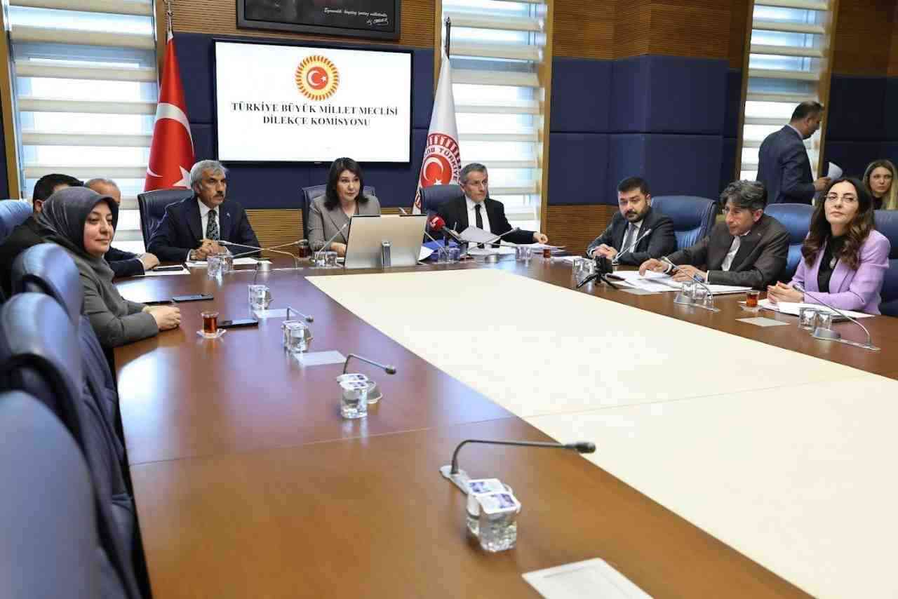 TBMM Dilekçe Komisyonu Başkanı Sunay Karamık, 28’inci Yasama Dönemi’nde vatandaşlardan