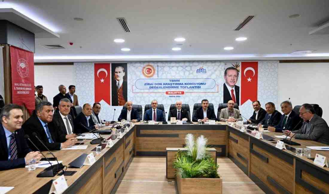 Türkiye Büyük Millet Meclisi (TBMM) bünyesinde kurulan Zirai Don Araştırma