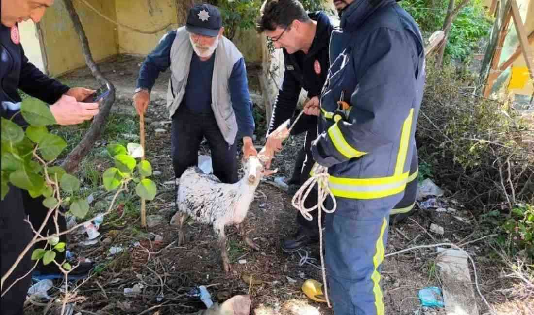 Yalova’nın İsmetpaşa Mahallesi’nde bir bahçede açık bırakılan logar kuyusuna düşen