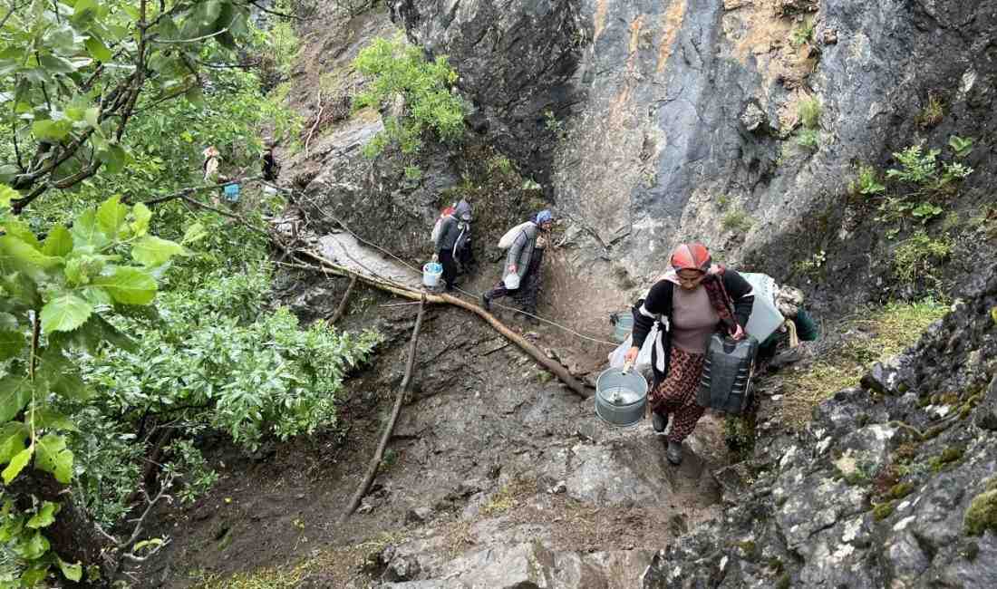 Kadınlar Hem Üretiyor Hem Aile Ekonomisine Katkı SağlıyorHakkari’nin Yüksekova ilçesinde
