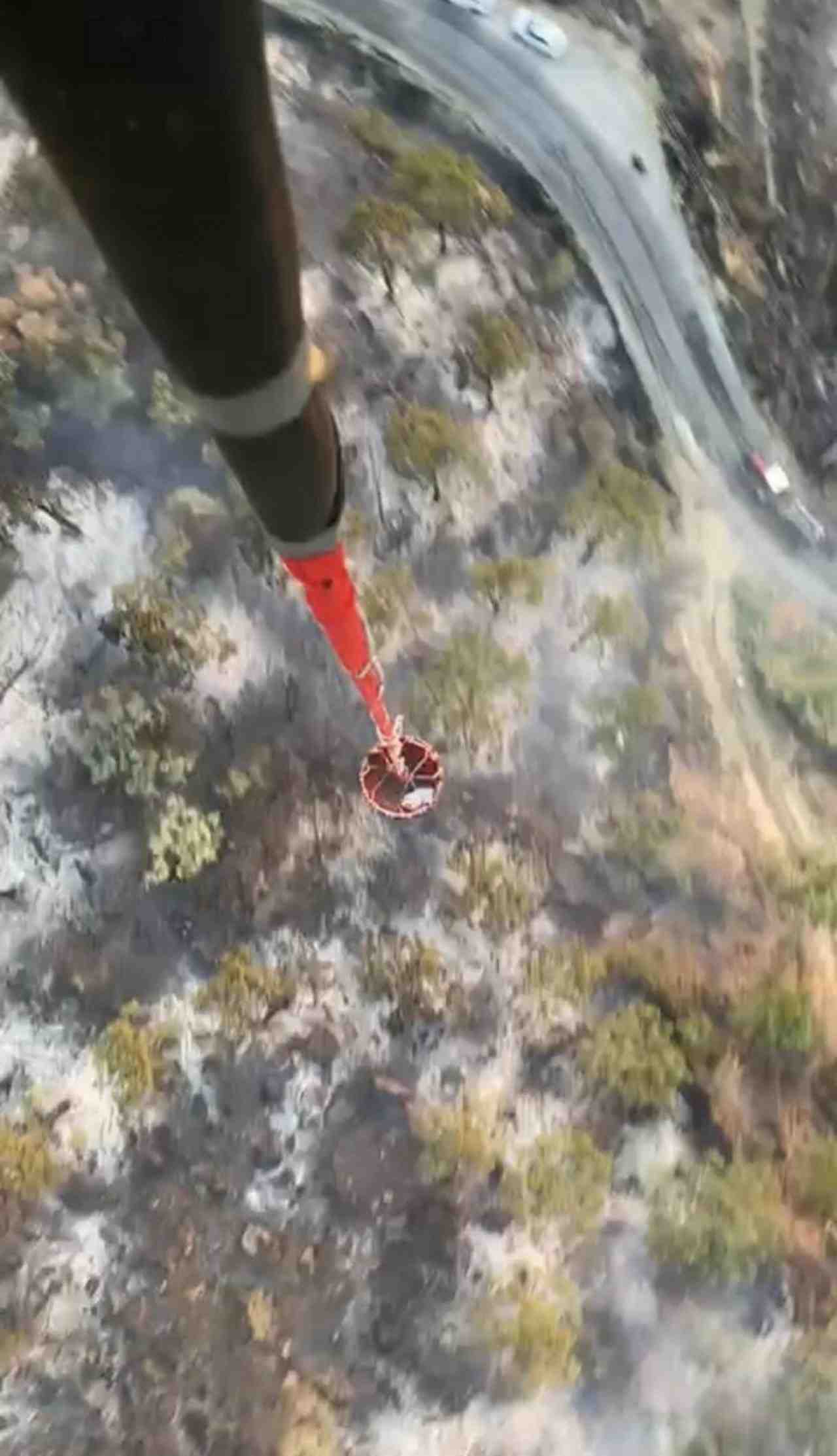 Çam Fıstığı Ağaçlarının Bulunduğu Alanda Yangın Paniği Aydın’ın Koçarlı ilçesi