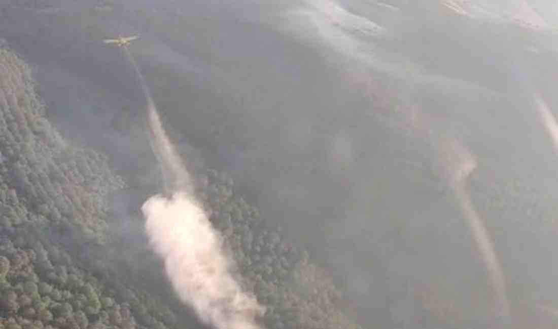 Sarıfakılar Kırsalında Başlayan Yangın Kontrol Altına Alınmaya Çalışılıyor Balıkesir’in Kepsut