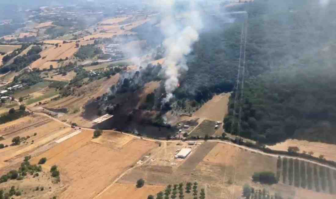 Kestel’de Anız Yangını Ormana Sıçradı Bursa’nın Kestel ilçesi Seymen Mahallesi’nde