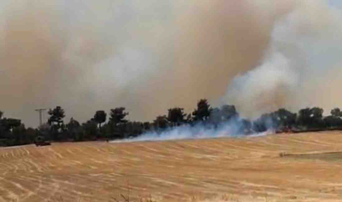 Erenköy Yakınlarında Yangın AlarmıÇanakkale’nin merkez ilçesine bağlı Erenköy yakınlarındaki tarım