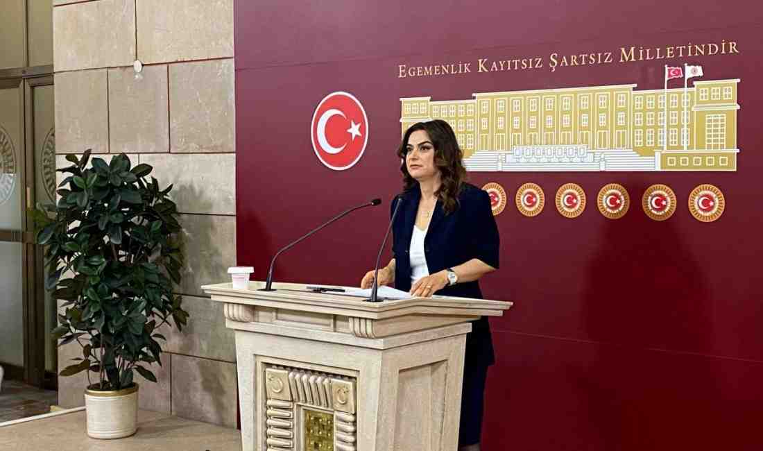 Koçyiğit: “Komisyon Girişimi Memnuniyet Verici” DEM Parti Grup Başkan Vekili