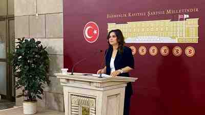 Koçyiğit: “Komisyon Girişimi Memnuniyet Verici” DEM Parti Grup Başkan Vekili