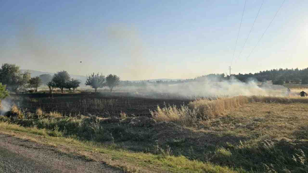 Kütahya’nın Gediz ilçesine bağlı Dedeköy’de bir tarlada çıkan yangında, 5