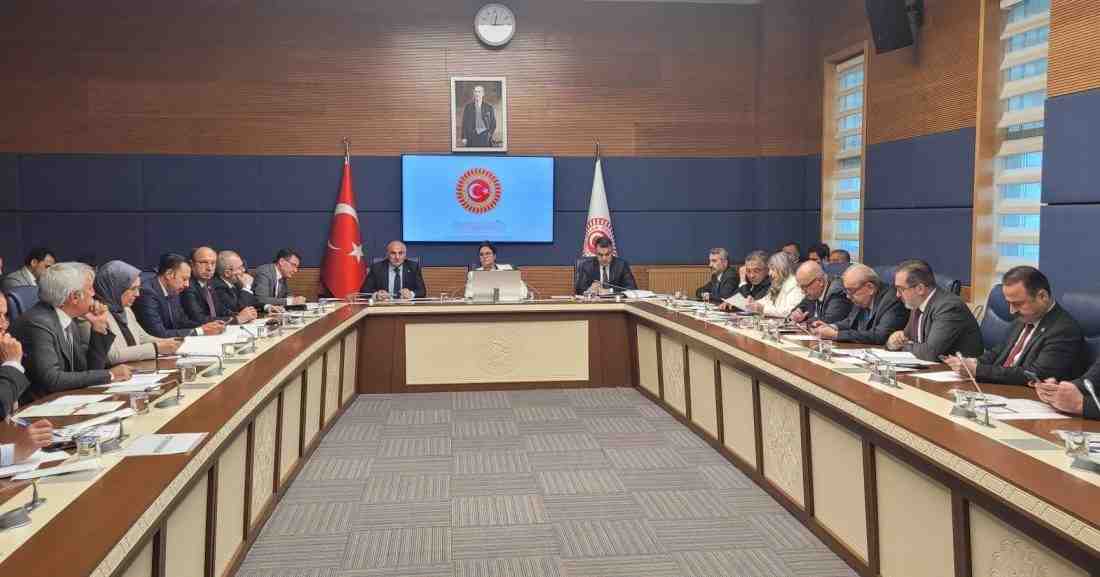 Türkiye Büyük Millet Meclisi (TBMM) İnsan Haklarını İnceleme Komisyonu, yeni