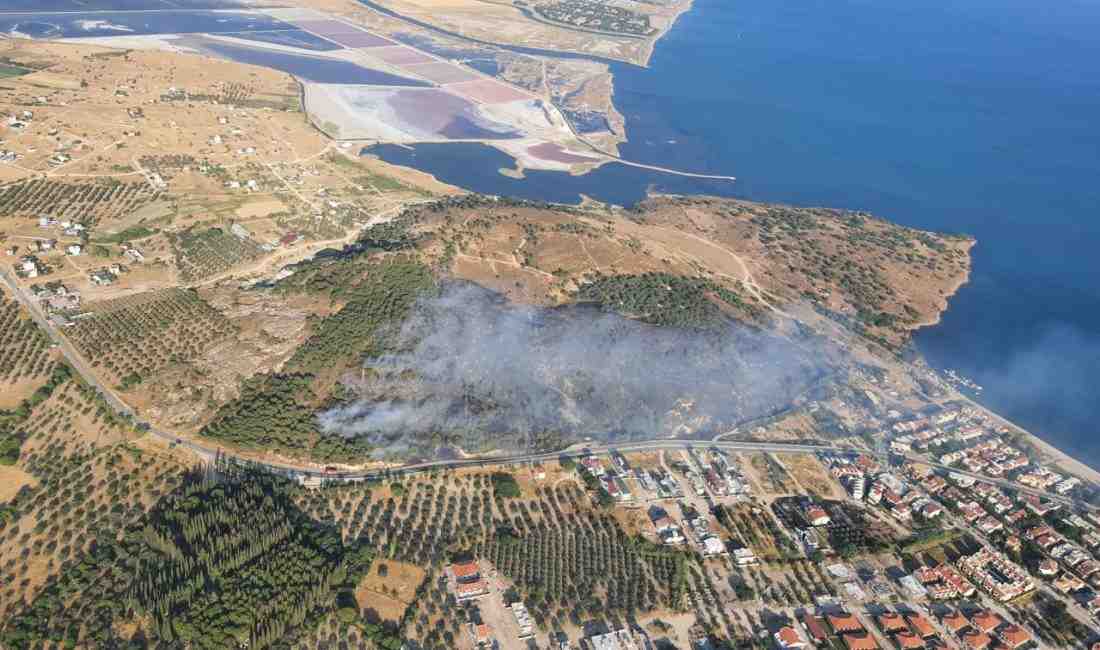 İzmir’in Dikili ilçesi Çandarlı Mahallesi yakınlarında çıkan makilik yangını, ekipleri