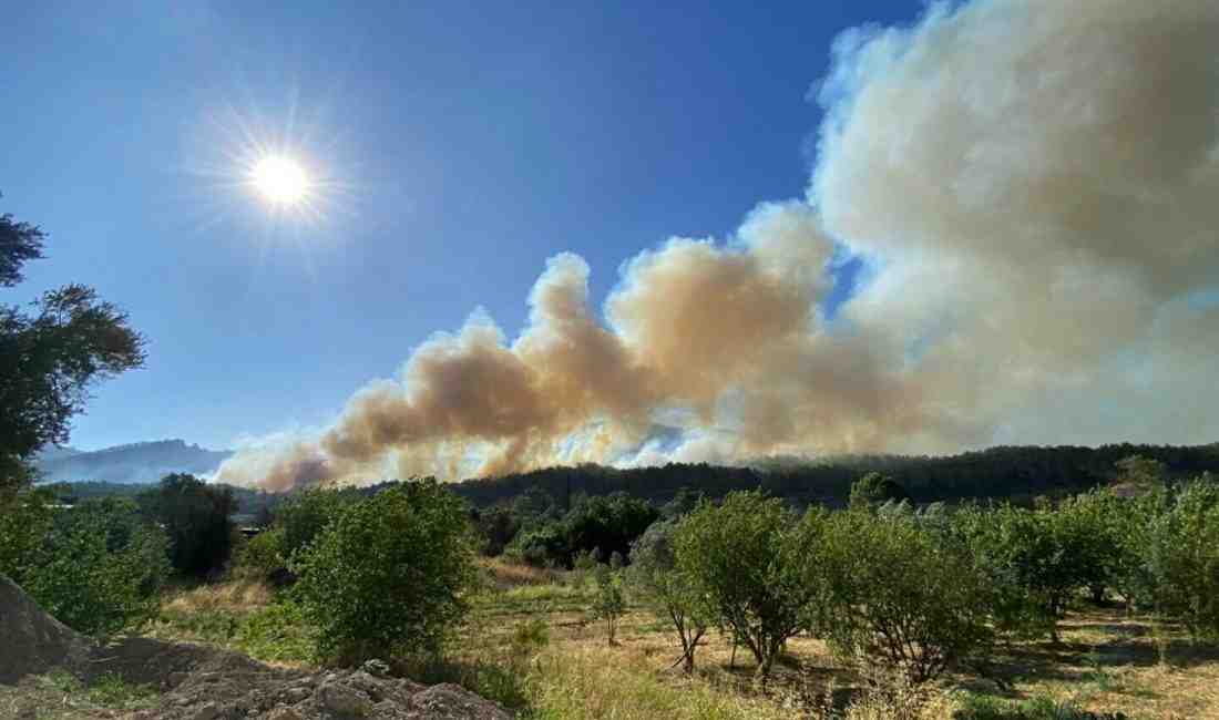 İzmir’in Menderes ve Seferihisar ilçeleri arasındaki ormanlık alanda çıkan yangına