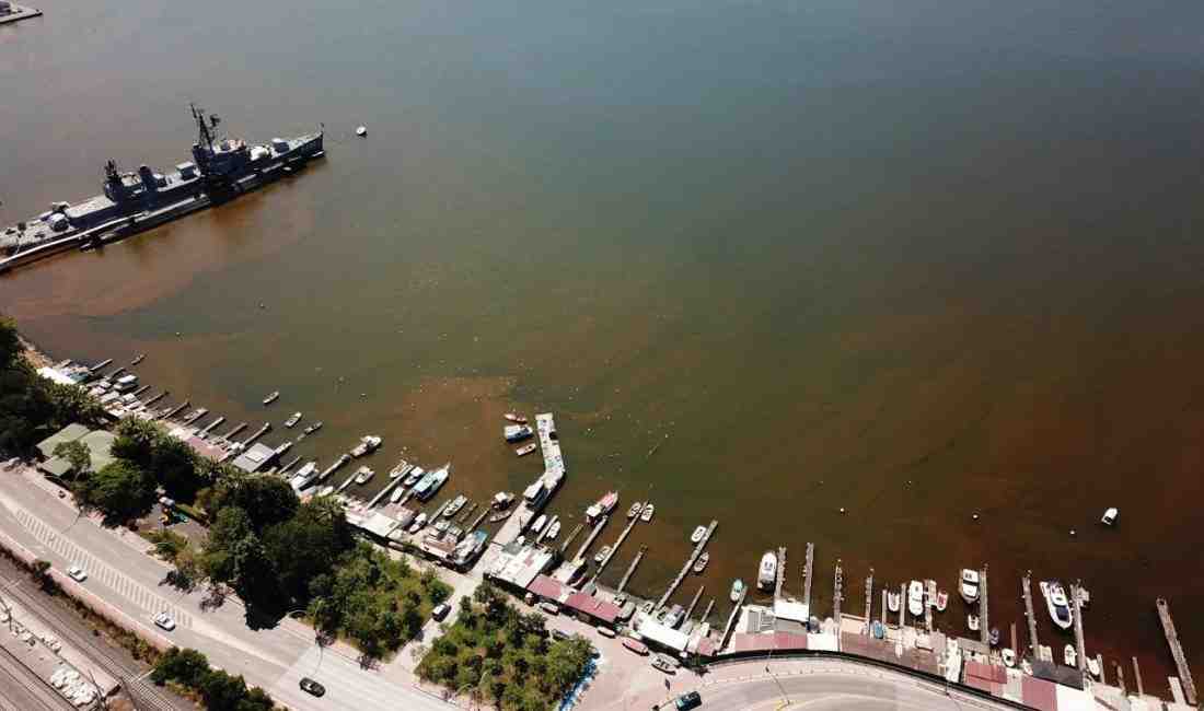 Kocaeli’nin İzmit ilçesinde deniz yüzeyinde gözlemlenen kahverengi renk değişimi halk