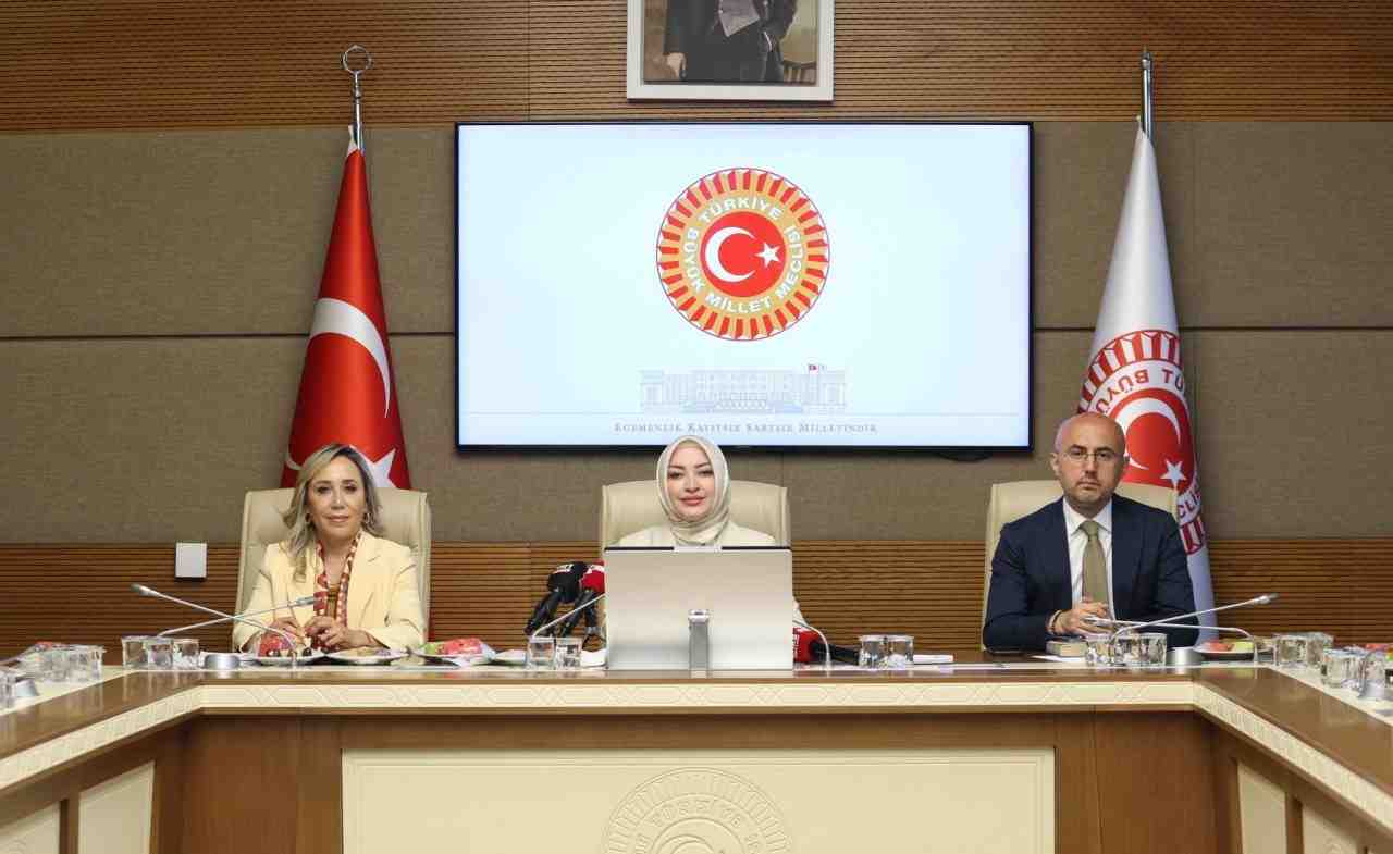 Türkiye Büyük Millet Meclisi (TBMM) Kadın-Erkek Fırsat Eşitliği Komisyonu (KEFEK),