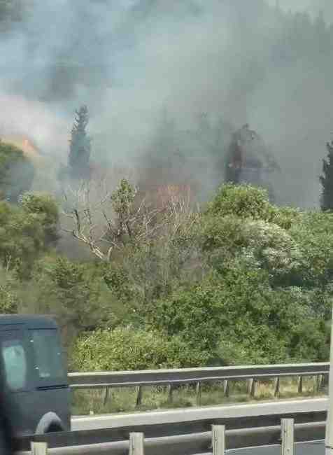 Şirinyalı Mevkisinde Başlayan Yangın Ormanlık Alana YayıldıKocaeli’nin Körfez ilçesinde, TEM