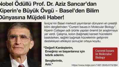 İsviçre Merkezli Dergide Yayınlanan Önemli Bulgular Bağırsak sağlığı ve kolon