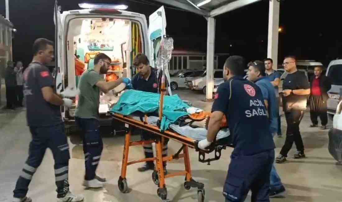 Sac Kesimi Sırasında Kaza: Parça Karın Bölgesine SaplandıAdana’nın Kozan ilçesinde