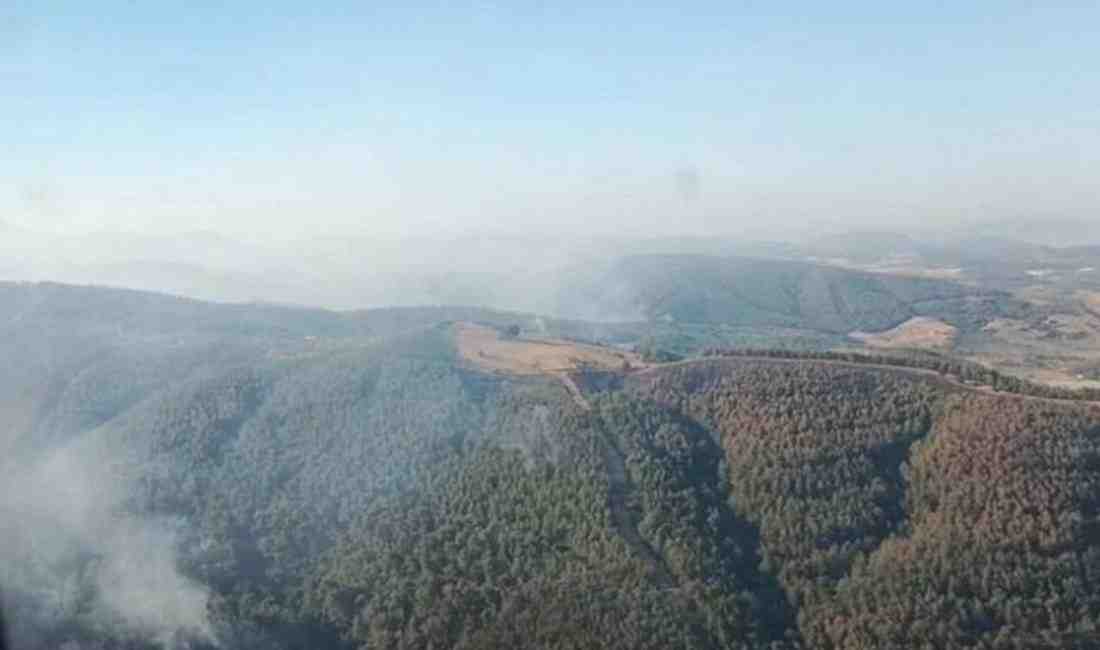Manisa’nın Akhisar İlçesi’ne Bağlı Karaköy Mahallesi’nde 28 Haziran Günü Başlayan