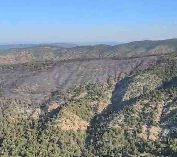 Tarım ve Orman Bakanlığı Orman Genel Müdürlüğü (OGM), Bilecik’in Gölpazarı