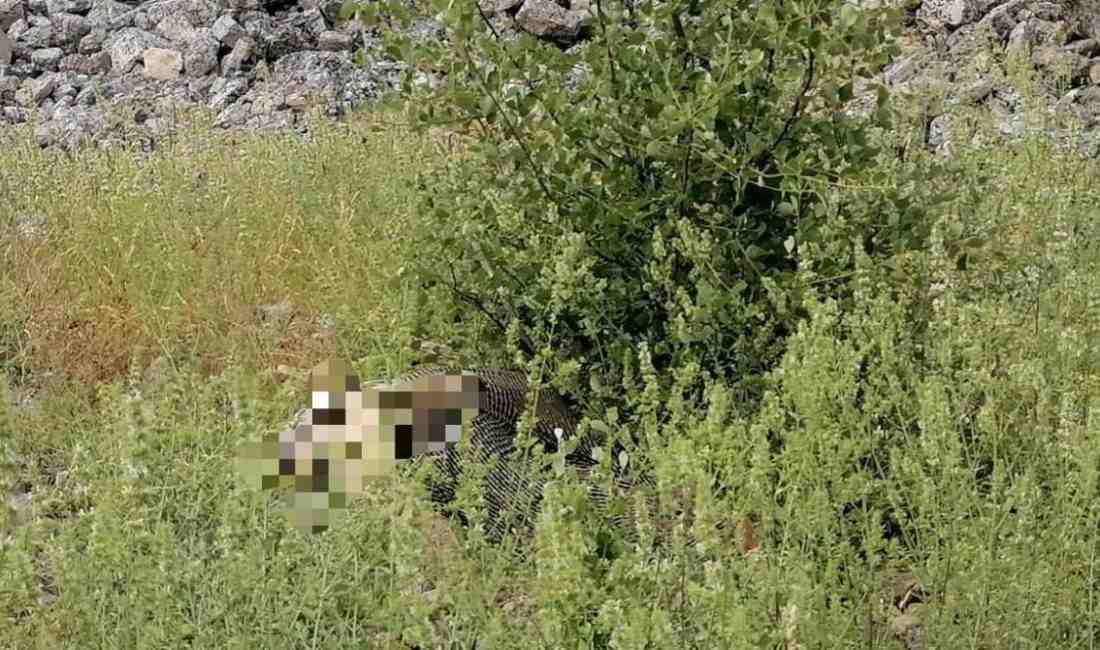 Ot toplamak isterken trajedi yaşandıBurdur’un Bucak ilçesine bağlı Çamlık köyü