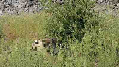 Ot toplamak isterken trajedi yaşandıBurdur’un Bucak ilçesine bağlı Çamlık köyü