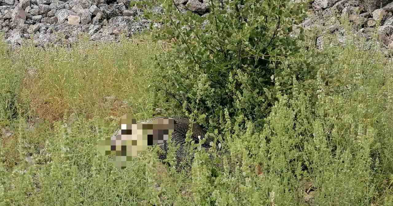 Ot toplamak isterken trajedi yaşandıBurdur’un Bucak ilçesine bağlı Çamlık köyü