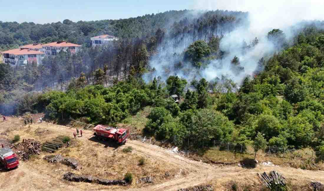 Depodaki Yangın Ormana YayıldıSakarya’nın Söğütlü ilçesi Gündoğan Mahallesi’nde Orman İşletme