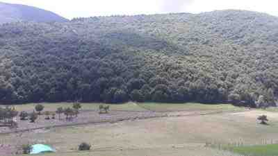 Samsun Valiliği, yaz mevsimiyle birlikte artan hava sıcaklıklarının orman yangını