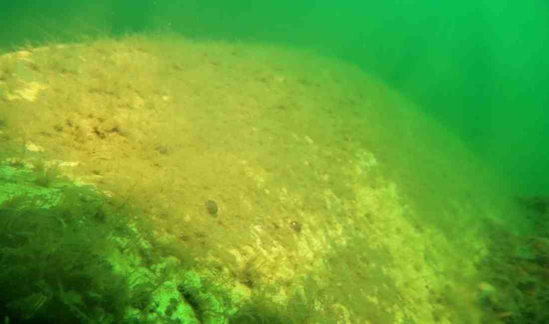 1972’de Düşen Keşif Uçağının Enkazı Su Altında Görüntülendi Sakarya’nın Sapanca