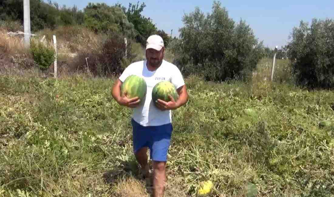 Mehmet Arslan’dan Sosyal Medyada Hayra Vesile ÇağrısıAntalya’nın Manavgat ilçesi Yeniköy