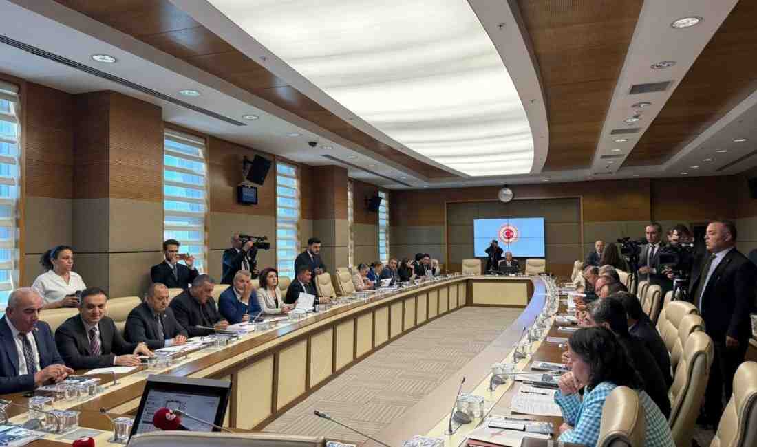 TBMM Zirai Don Olayını Araştırma Komisyonu, AK Parti Burdur Milletvekili