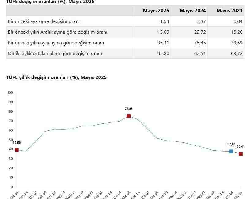 Tüketici Fiyatlarında Aylık Artış %1,53, Yıllık Artış %35,41 Türkiye İstatistik
