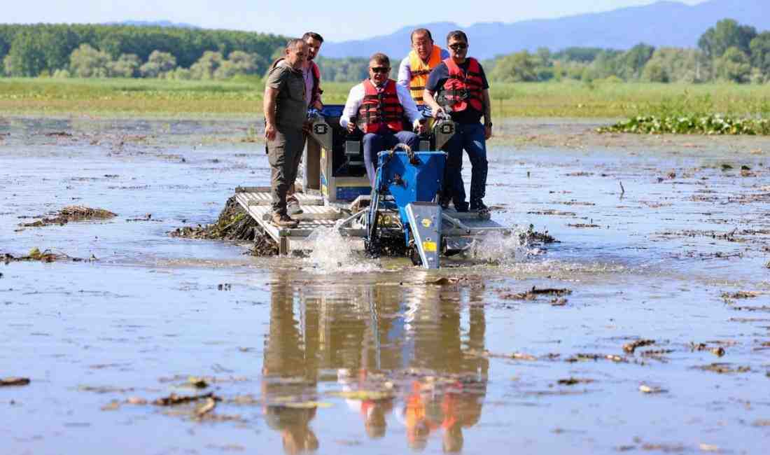 Amfibik Saz Kesme Makinesi İlk Kez KullanıldıDüzce’nin Gölyaka ilçesinde bulunan