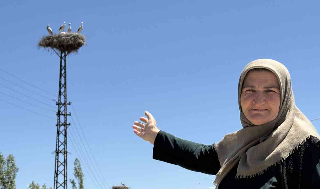 Sivas’ın Hafik ilçesinde, Karavasar ailesi 20 yıldır leyleklerle dostluk kurmuş