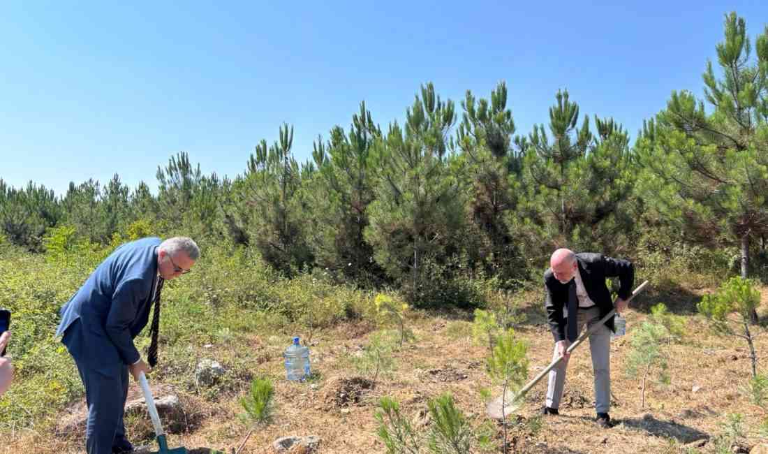 Eskişehir Seyitgazi ilçesinde çıkan orman yangınına müdahale ederken şehit olan